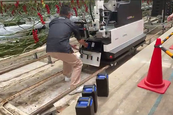 デンソーが全自動収穫ロボット『Artemy』(アーテミー)を欧州で受注開始　ミニトマト向け 自動運転とAIの技術を投入 実演デモを公開