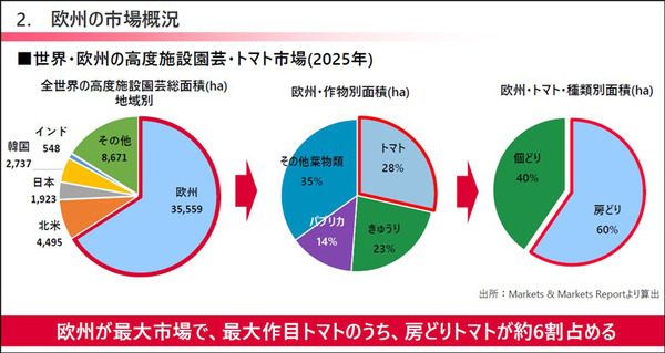 デンソーが全自動収穫ロボット『Artemy』(アーテミー)を欧州で受注開始　ミニトマト向け 自動運転とAIの技術を投入 実演デモを公開
