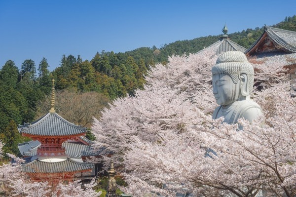 2024年春 訪日外国人旅行者の訪問と滞在が増加した地域をナビタイムが発表　人気急上昇エリアとその要因を分析