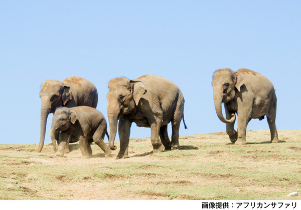 2024年春 訪日外国人旅行者の訪問と滞在が増加した地域をナビタイムが発表　人気急上昇エリアとその要因を分析