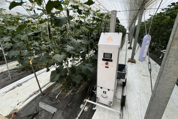JA全農ぐんま　AIを活用したキュウリ収穫ロボットをAGRISTからレンタル導入　スマート農業の先駆け的な取り組み