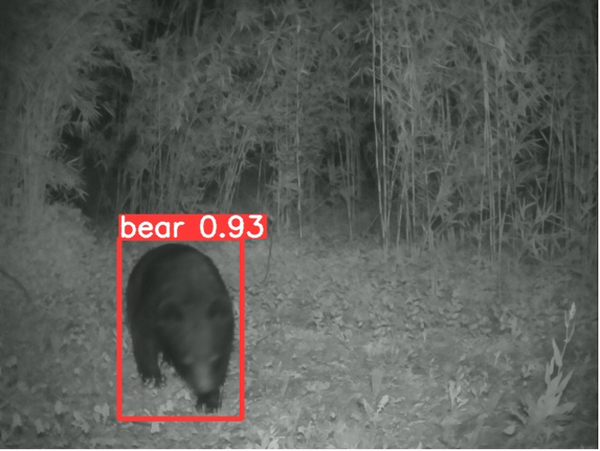 熊など野生動物をAIカメラがみつけて音や光で威嚇　関係者に通知「AI威嚇警報機」の開発と共同研究　会津大学と日本遮蔽技研