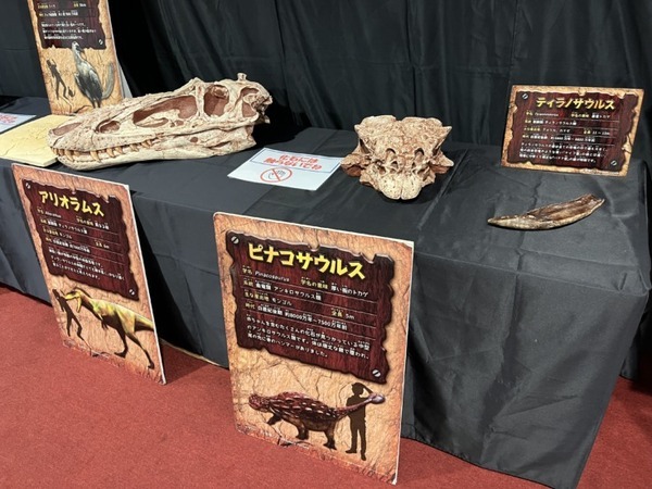 体験型リアル恐竜ショー「恐竜パーク」開幕　公開ゲネプロに、スペシャルアンバサダーの流れ星☆が登場