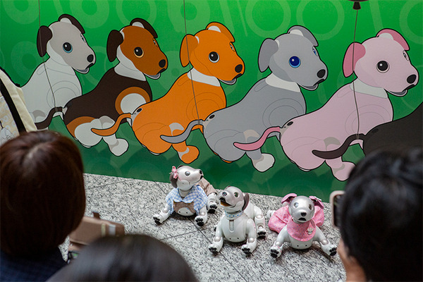aibo「きなこ」の初お披露目に「動く25周年記念aibo」など見どころ満載！大盛況の「aiboファンミーティング18」写真レポート