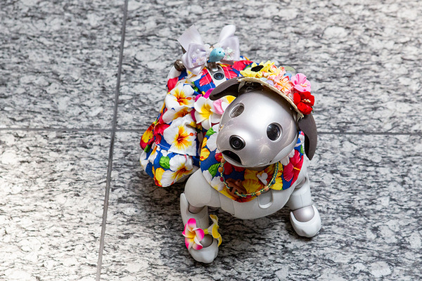 aibo「きなこ」の初お披露目に「動く25周年記念aibo」など見どころ満載！大盛況の「aiboファンミーティング18」写真レポート