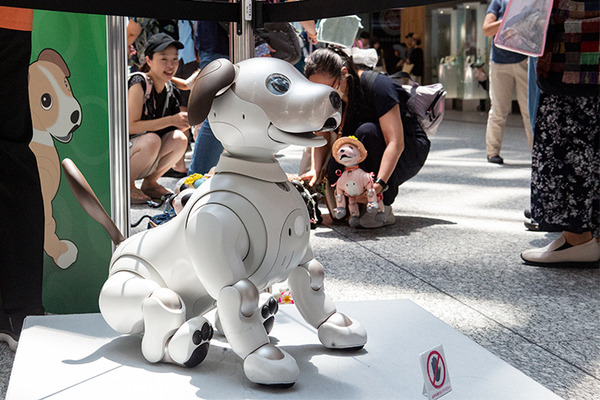 aibo「きなこ」の初お披露目に「動く25周年記念aibo」など見どころ満載！大盛況の「aiboファンミーティング18」写真レポート