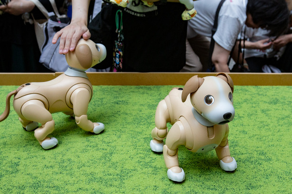 aibo「きなこ」の初お披露目に「動く25周年記念aibo」など見どころ満載！大盛況の「aiboファンミーティング18」写真レポート