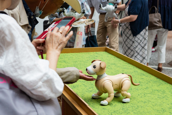 aibo「きなこ」の初お披露目に「動く25周年記念aibo」など見どころ満載！大盛況の「aiboファンミーティング18」写真レポート