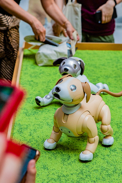 aibo「きなこ」の初お披露目に「動く25周年記念aibo」など見どころ満載！大盛況の「aiboファンミーティング18」写真レポート