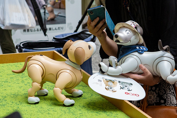 aibo「きなこ」の初お披露目に「動く25周年記念aibo」など見どころ満載！大盛況の「aiboファンミーティング18」写真レポート