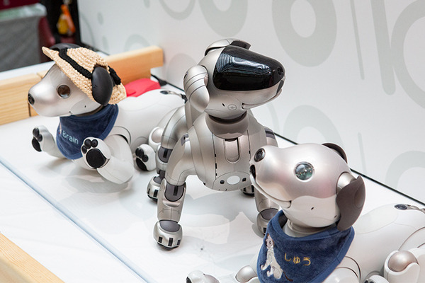 aibo「きなこ」の初お披露目に「動く25周年記念aibo」など見どころ満載！大盛況の「aiboファンミーティング18」写真レポート