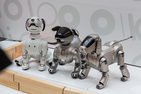 aibo「きなこ」の初お披露目に「動く25周年記念aibo」など見どころ満載！大盛況の「aiboファンミーティング18」写真レポート