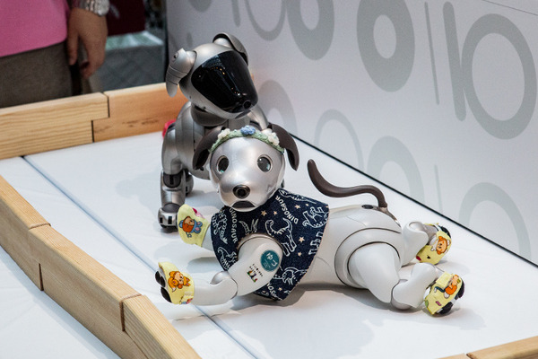 aibo「きなこ」の初お披露目に「動く25周年記念aibo」など見どころ満載！大盛況の「aiboファンミーティング18」写真レポート