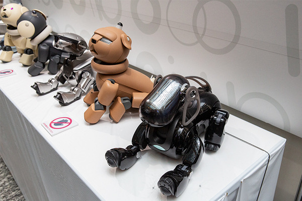 aibo「きなこ」の初お披露目に「動く25周年記念aibo」など見どころ満載！大盛況の「aiboファンミーティング18」写真レポート