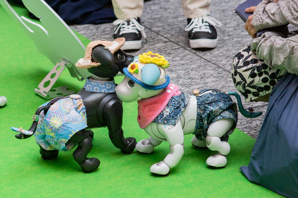 aibo「きなこ」の初お披露目に「動く25周年記念aibo」など見どころ満載！大盛況の「aiboファンミーティング18」写真レポート