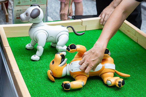 aibo「きなこ」の初お披露目に「動く25周年記念aibo」など見どころ満載！大盛況の「aiboファンミーティング18」写真レポート