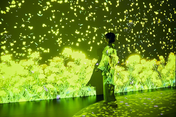 没入型展覧会「動き出す浮世絵展」東京で開催　名古屋やミラノで15万人以上動員