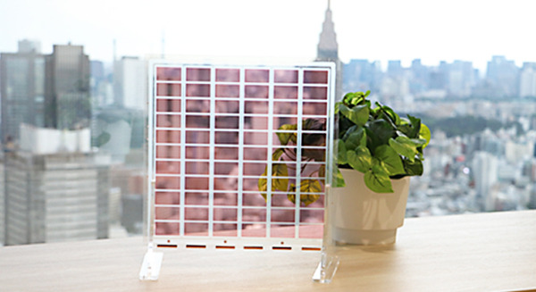 <p>シェア 0 ツイート 0 はてブ 0</p>