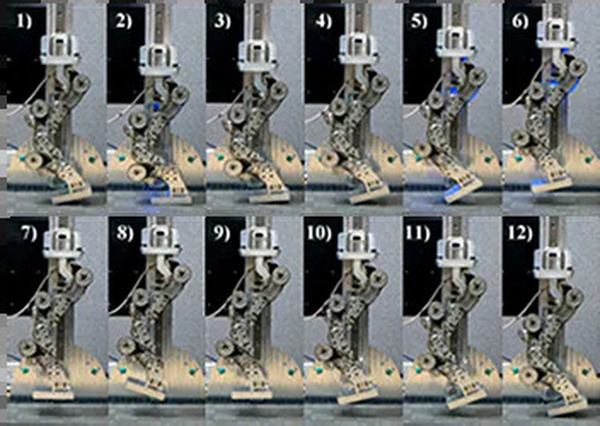 ソニーが自律移動ロボットの進化に貢献する新技術を発表　「IROS2024」で新規投稿論文5本が採用される