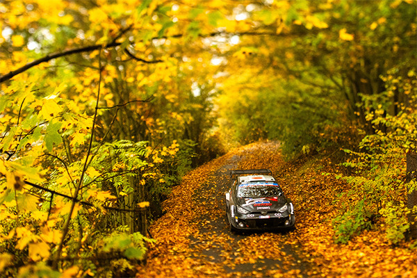 WRC チャンピオン争いは最終戦「ラリージャパン2024」へ　ドライバー選手権はヒョンデの争い、メーカー選手権はトヨタが猛追