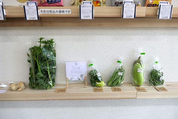 人型ロボットがコーヒーを淹れるお店「ハレとケ」は非日常と日常、人工物と自然物が交わるところ　埼玉・南浦和にオープン