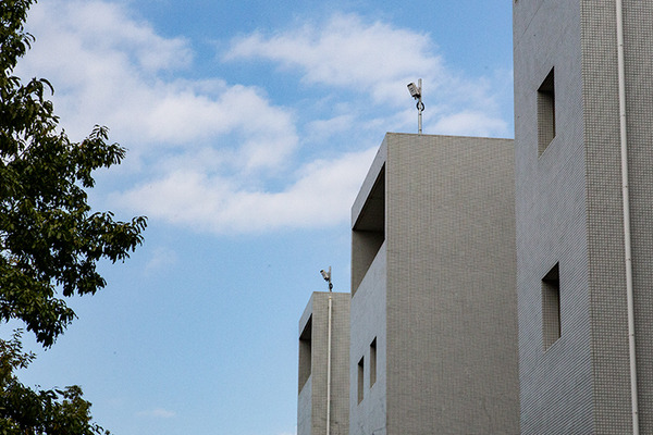 ソフトバンクが通信にAIを活用「AI-RAN」を四足歩行ロボットでデモ！生成AIやLLMでどう変わる？AITRASとNVIDIA AI Enterprize