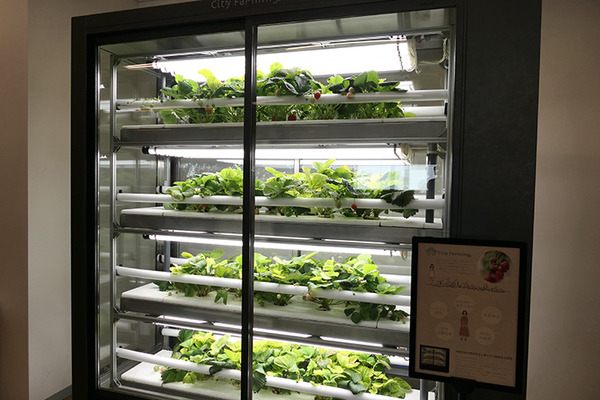 日販の物流新拠点「N-PORT新座」に自在型自動倉庫「ラピュタASRS」が導入　多品種少量在庫管理に対応