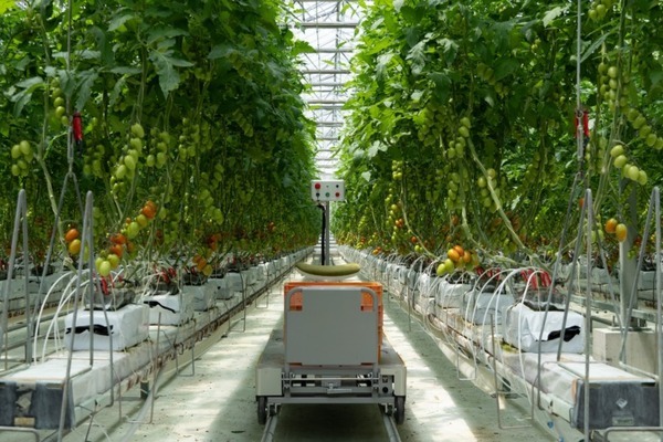 inahoが安曇野の菜園へマルチ台車ロボットをRaaSモデルで10台提供　作業効率化を実現するスマート農業ソリューション