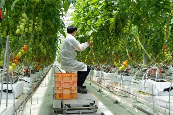 inahoが安曇野の菜園へマルチ台車ロボットをRaaSモデルで10台提供　作業効率化を実現するスマート農業ソリューション