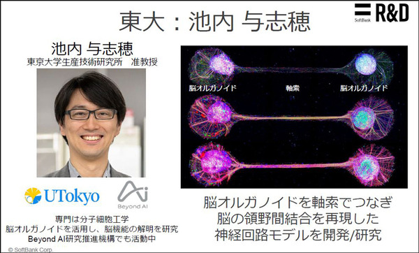 ソフトバンクと東京大、脳オルガノイドで「人工脳細胞のプロセッサ」を共同研究、世界初の成果を発表 「脳細胞が次世代コンピュータになる」
