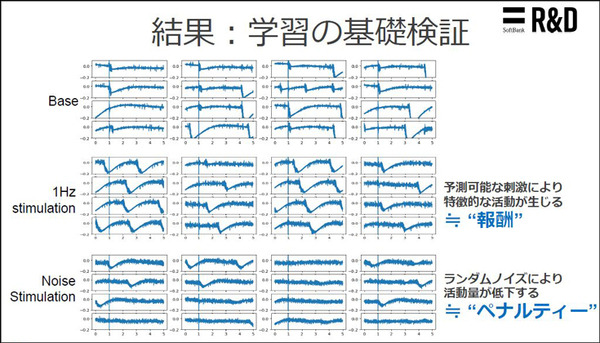 ソフトバンクと東京大、脳オルガノイドで「人工脳細胞のプロセッサ」を共同研究、世界初の成果を発表 「脳細胞が次世代コンピュータになる」