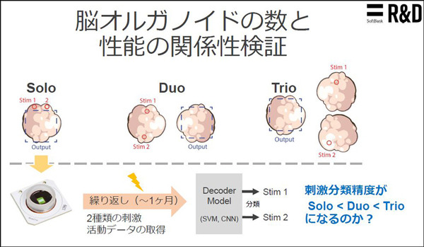 ソフトバンクと東京大、脳オルガノイドで「人工脳細胞のプロセッサ」を共同研究、世界初の成果を発表 「脳細胞が次世代コンピュータになる」