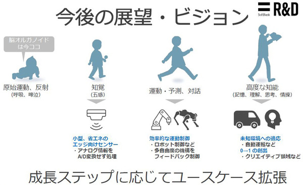 ソフトバンクと東京大、脳オルガノイドで「人工脳細胞のプロセッサ」を共同研究、世界初の成果を発表 「脳細胞が次世代コンピュータになる」