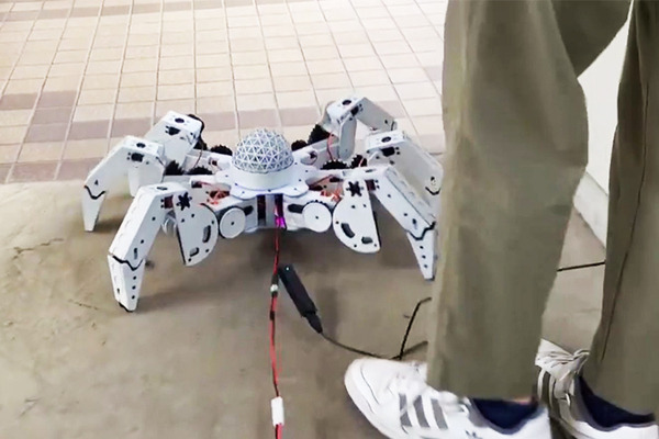 ワンフェスに「かわいいロボット好きエンジニア」が夢の集結　ねこずきん・シロナ・ましろなど「ロボかわ」でズラリ展示!! 2月9日