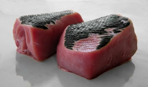 【世界初公開】「回復スニーカー」「人工宇宙人」「龍の肉」再生医療×DNA合成を応用、大阪・関西万博で展示へ