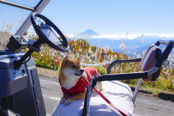 標高1420ｍの展望台まで自動運転「天空カート」に乗って眺望をゆっくり堪能　富士見高原リゾートで4月に運行開始