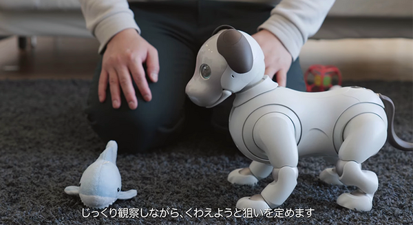 ソニー「aibo」がモノをくわえて遊んだり、ユーザーについて歩けるようになったよ！