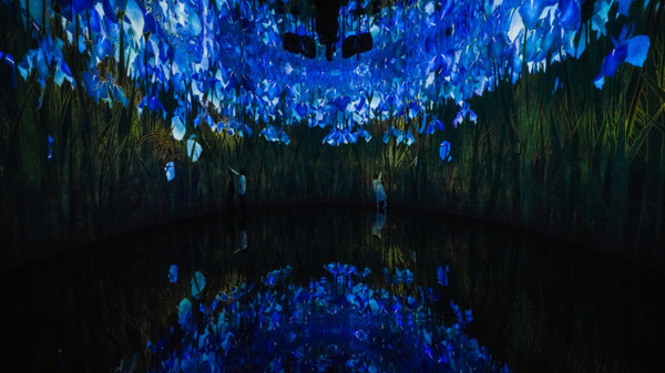 リアルタイムに変化するアートとテクノロジーの融合　札幌 宮の森の美術館にチームラボが「教会跡に増殖する無量の生命」を展示へ