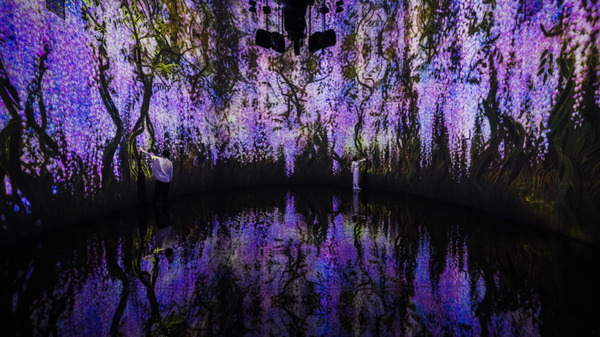 リアルタイムに変化するアートとテクノロジーの融合　札幌 宮の森の美術館にチームラボが「教会跡に増殖する無量の生命」を展示へ
