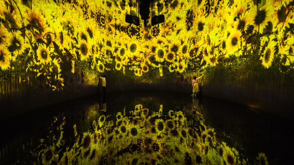 リアルタイムに変化するアートとテクノロジーの融合　札幌 宮の森の美術館にチームラボが「教会跡に増殖する無量の生命」を展示へ