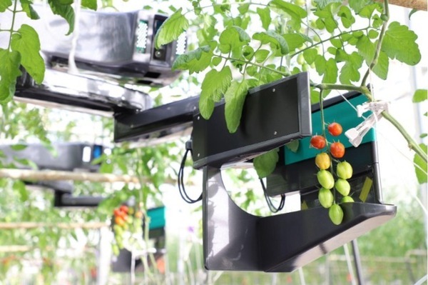 自律型トマト収穫ロボットの最新モデルをinahoが発表　機能向上のポイントは・・　オランダの提携圃場で実地テスト予定