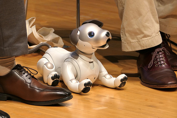 ロボットの未来を語ろう、「コミュニケーションロボット博」開催　各メーカーとオーナーたちが集う