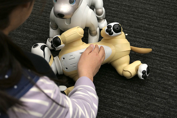 ロボットの未来を語ろう、「コミュニケーションロボット博」開催　各メーカーとオーナーたちが集う