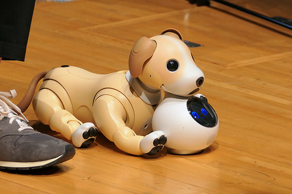 ロボットの未来を語ろう、「コミュニケーションロボット博」開催　各メーカーとオーナーたちが集う