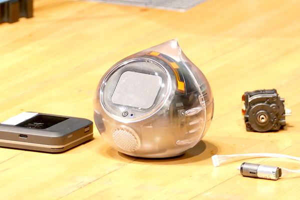 ロボットの未来を語ろう、「コミュニケーションロボット博」開催　各メーカーとオーナーたちが集う