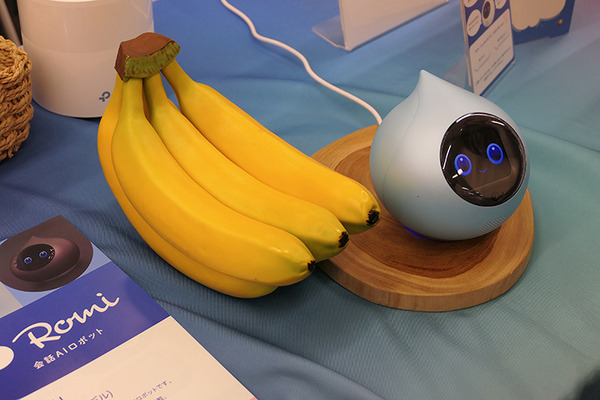 ロボットの未来を語ろう、「コミュニケーションロボット博」開催　各メーカーとオーナーたちが集う