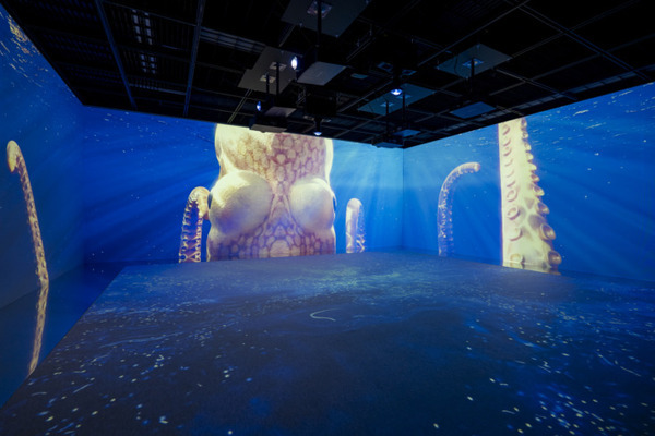 「宮本武蔵の鯨退治」「相馬の古内裏」など体感型デジタルアート「歌川国芳展」開催中　公式記録写真を公開　北海道立近代美術館