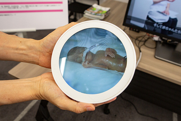 NTTの最先端研究を公開する「オープンハウス2025」開催へ　「空中に触感を生み出す」「集中力を高める光」など、見どころを一挙紹介