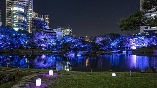 光と音のライトアップショー、デジタルアートと美食が彩る夜の庭園体験「旧芝離宮夜会」を開催　今年は初公開エリアも登場
