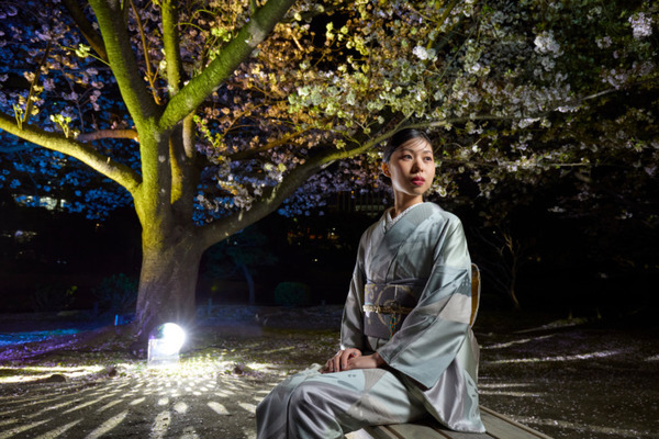 光と音のライトアップショー、デジタルアートと美食が彩る夜の庭園体験「旧芝離宮夜会」を開催　今年は初公開エリアも登場